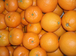 Купете щайга с разнообразни плодове - Valencia oranges and mandarins online