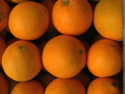 Купете портокали онлайн - Valencia oranges online