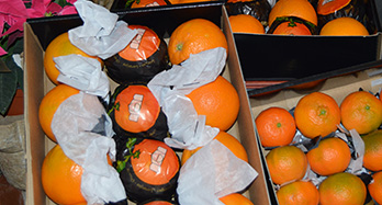 45 портокала и 28 мандарини Gourmet - Цена 60 €